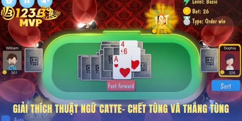 Catte | Hướng Dẫn Chơi 6 Lượt Và Chiến Thuật Tại 123 MVP 3 Thuật ngữ Catte giúp phán đoán diễn biến trận đấu chính xác