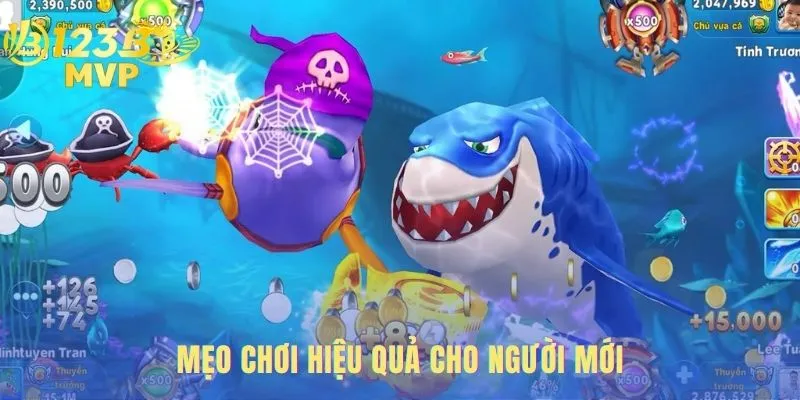 Lỗi Thường Gặp Khi Chơi Bắn Cá Online - Kinh Nghiệm Từ Cao Thủ 3 Lỗi thường gặp khi chơi bắn cá online là không quản lý vốn